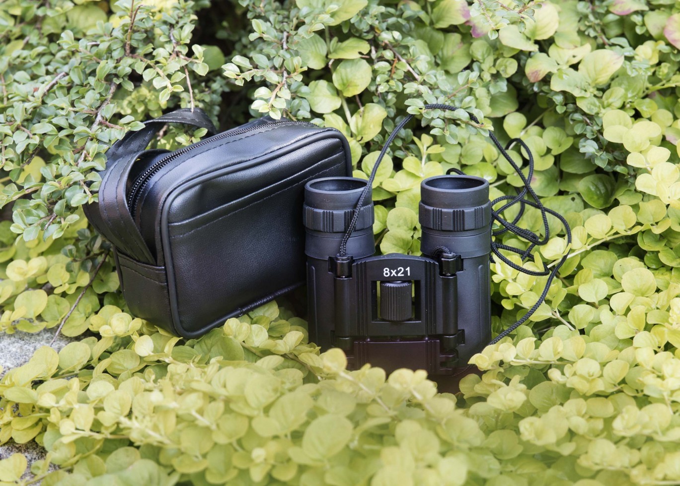 Audubon cheap recommended binoculars